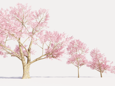 4 Pink Tree Model 3D
