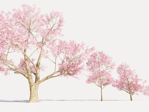 4 Pink Tree 3D Model