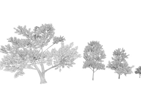 4 Pink Tree 3D Model