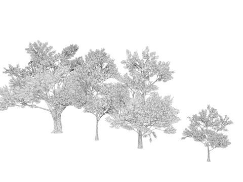 4 Pink Tree 3D Model