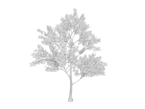 4 Pink Tree 3D Model