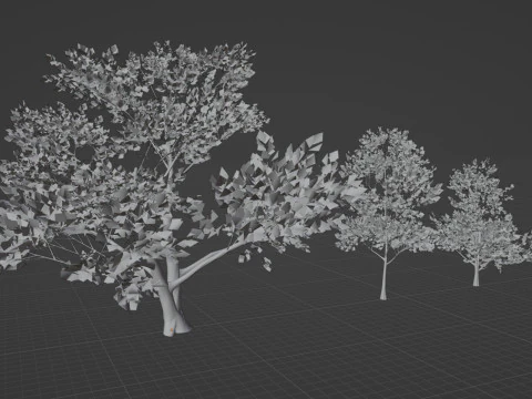 4 Pink Tree 3D Model
