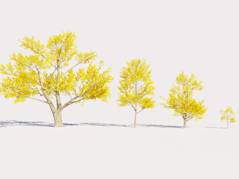 4 Yellow Tree Modello 3D