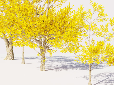4 Yellow Tree Modello 3D