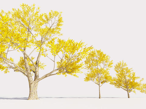 4 Yellow Tree Modello 3D