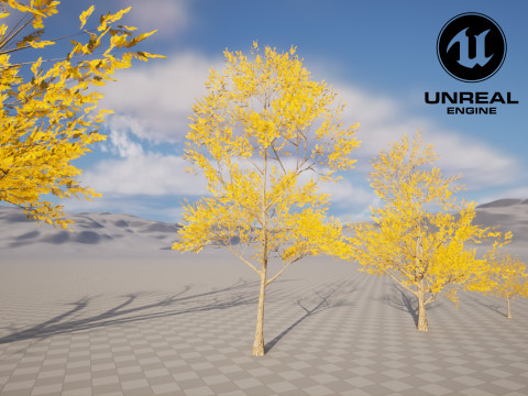 4 Yellow Tree Modello 3D