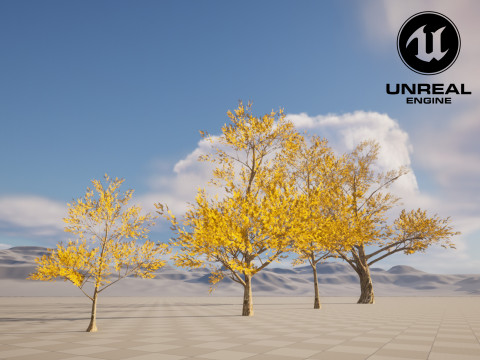 4 Yellow Tree Modello 3D