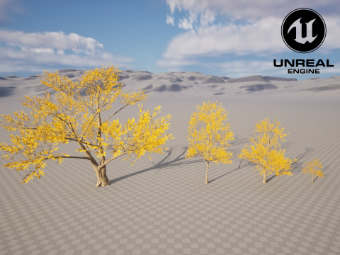4 Yellow Tree Modello 3D