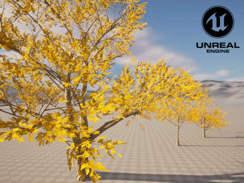 4 Yellow Tree Modello 3D