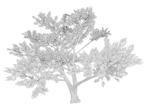4 Yellow Tree Modello 3D