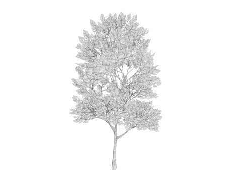 4 Yellow Tree Modello 3D