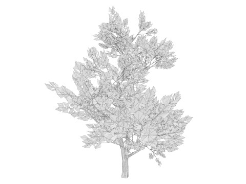 4 Yellow Tree Modello 3D
