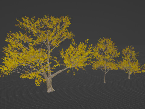 4 Yellow Tree Modello 3D