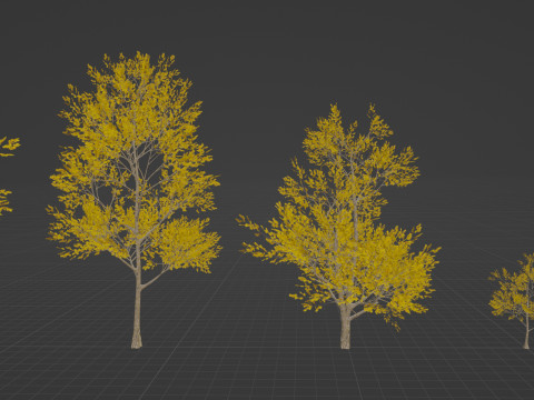 4 Yellow Tree Modello 3D