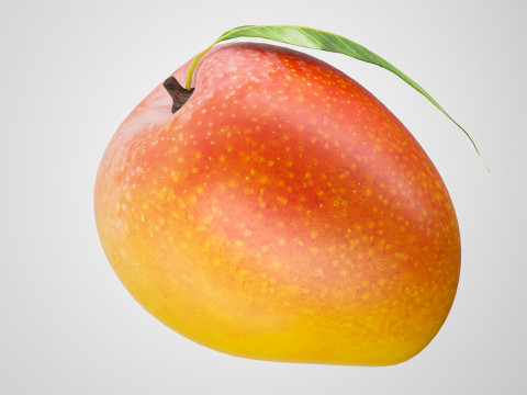 Mango 01 3Dモデル