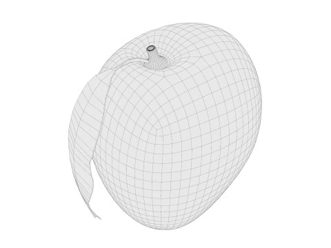 Mango 01 3D Model