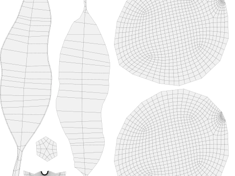 Mango 01 3D Model