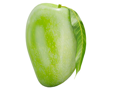 Mango 02 3D 模型