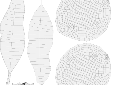 Mango 03 3D Model