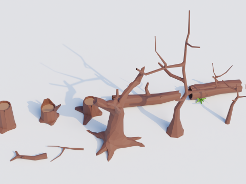 Low-Poly Forest Nature Assets Modello 3D