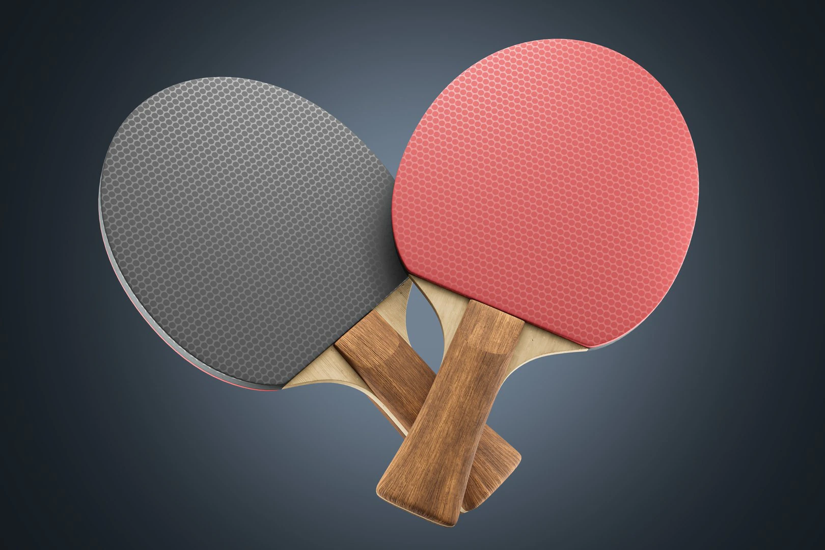 Table Tennis Paddle 3D Model .c4d .max .obj .3ds .fbx .stl .blend 