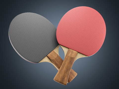 Table Tennis Paddle 3D Model