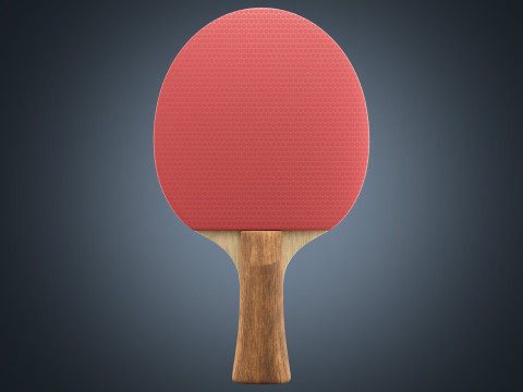 Table Tennis Paddle Model 3D