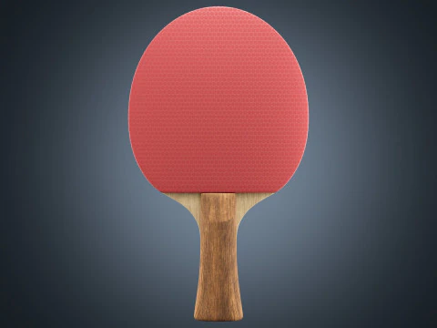 Table Tennis Paddle 3D Model