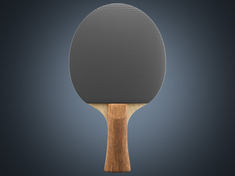 Table Tennis Paddle Model 3D