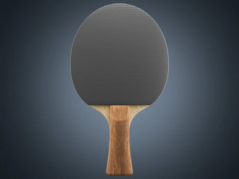 Table Tennis Paddle 3D Model