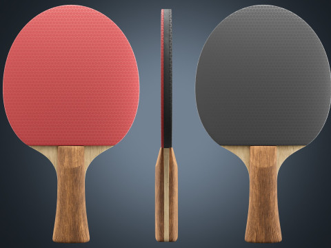 Table Tennis Paddle Model 3D
