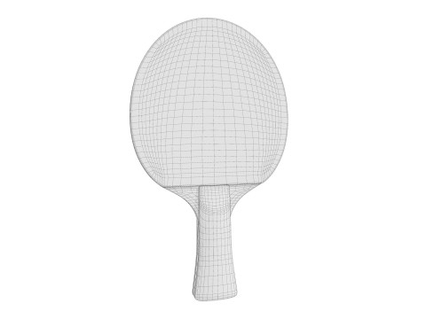 Table Tennis Paddle Model 3D