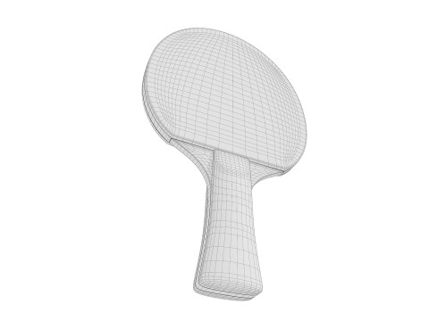 Table Tennis Paddle Model 3D