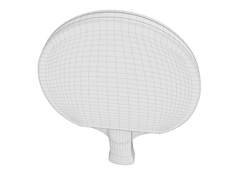 Table Tennis Paddle Model 3D