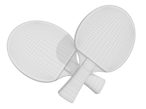Table Tennis Paddle Model 3D