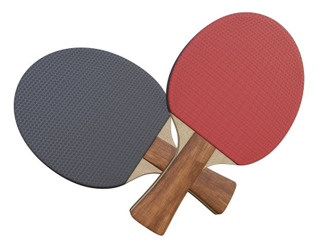 Table Tennis Paddle Model 3D