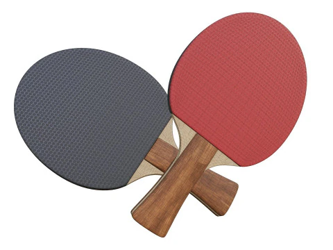 Table Tennis Paddle 3D Model