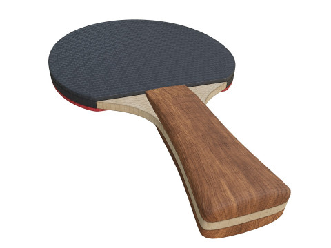 Table Tennis Paddle Model 3D