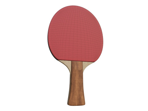 Table Tennis Paddle Model 3D