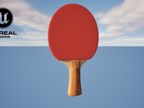 Table Tennis Paddle Model 3D