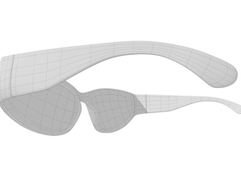 Wrap Sunglasses Modelo 3D