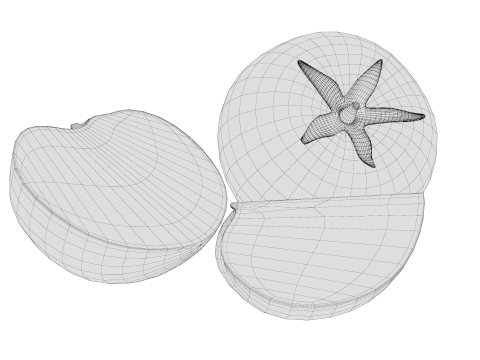 Tomatoes 01 3D Model