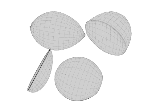 Lim&atilde;o Modelo 3D