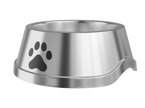 Pet Bowl 01 Modèle 3D