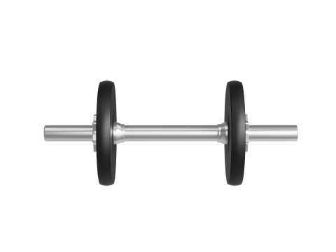 Barbell Model 3D