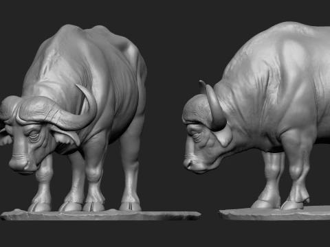 Maestoso bufalo africano con stampa 3D base Modello di stampa 3D