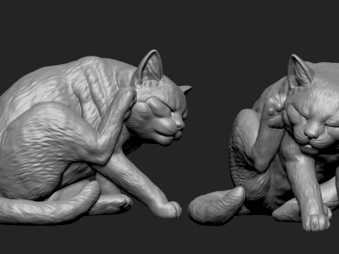 Detailed Scratching Cat 3D Print Model 3D Print Model