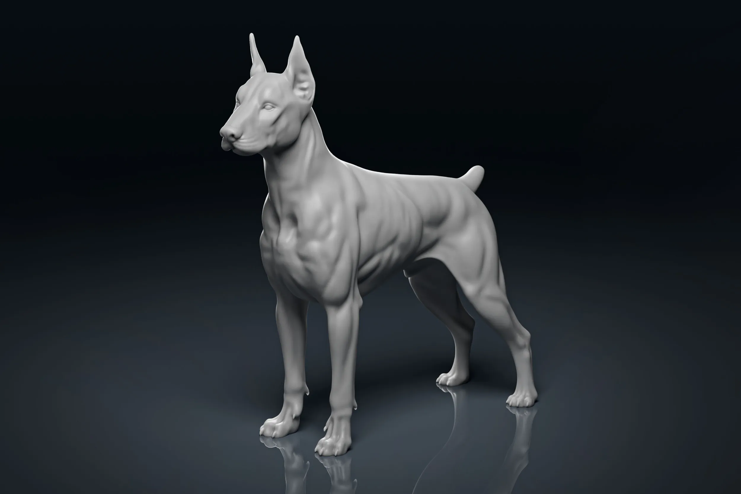 Muscular Doberman 3D Print Model 3D Print Model .c4d .max .obj .3ds .fbx .stl .blend 