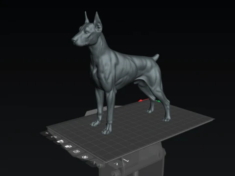Muscular Doberman 3D Print Model 3D Print Model