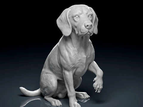 Modello di stampa 3D dettagliato del cane Beagle Modello di stampa 3D